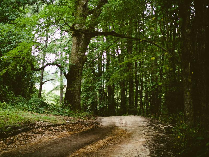 sudoku elimination method screenshot 1